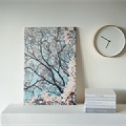 黑龙江2026年初级会计报名简章是怎样的?了解后再报名