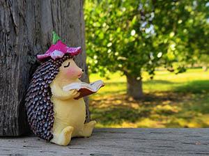 初级会计证书报考条件是什么吗?报考的最低学历要求是什么 初级会计证书报考条件是什么吗?报考的最低学历要求是什么