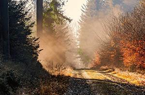 吉林2024会计初级考试咨询电话看这里!考前一定要清楚 吉林2024会计初级考试咨询电话看这里!考前一定要清楚