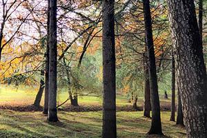 2024年初级会计领证这些问题你都清楚吗?速看常见问题解答 2024年初级会计领证这些问题你都清楚吗?速看常见问题解答