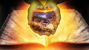 往来账是指什么?往来账包含的会计科目与事项分别有哪些 往来账是指什么?往来账包含的会计科目与事项分别有哪些