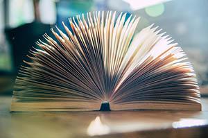 2026兵团初级会计职称报名时间是何时?新手别错过报名日期 2026兵团初级会计职称报名时间是何时?新手别错过报名日期